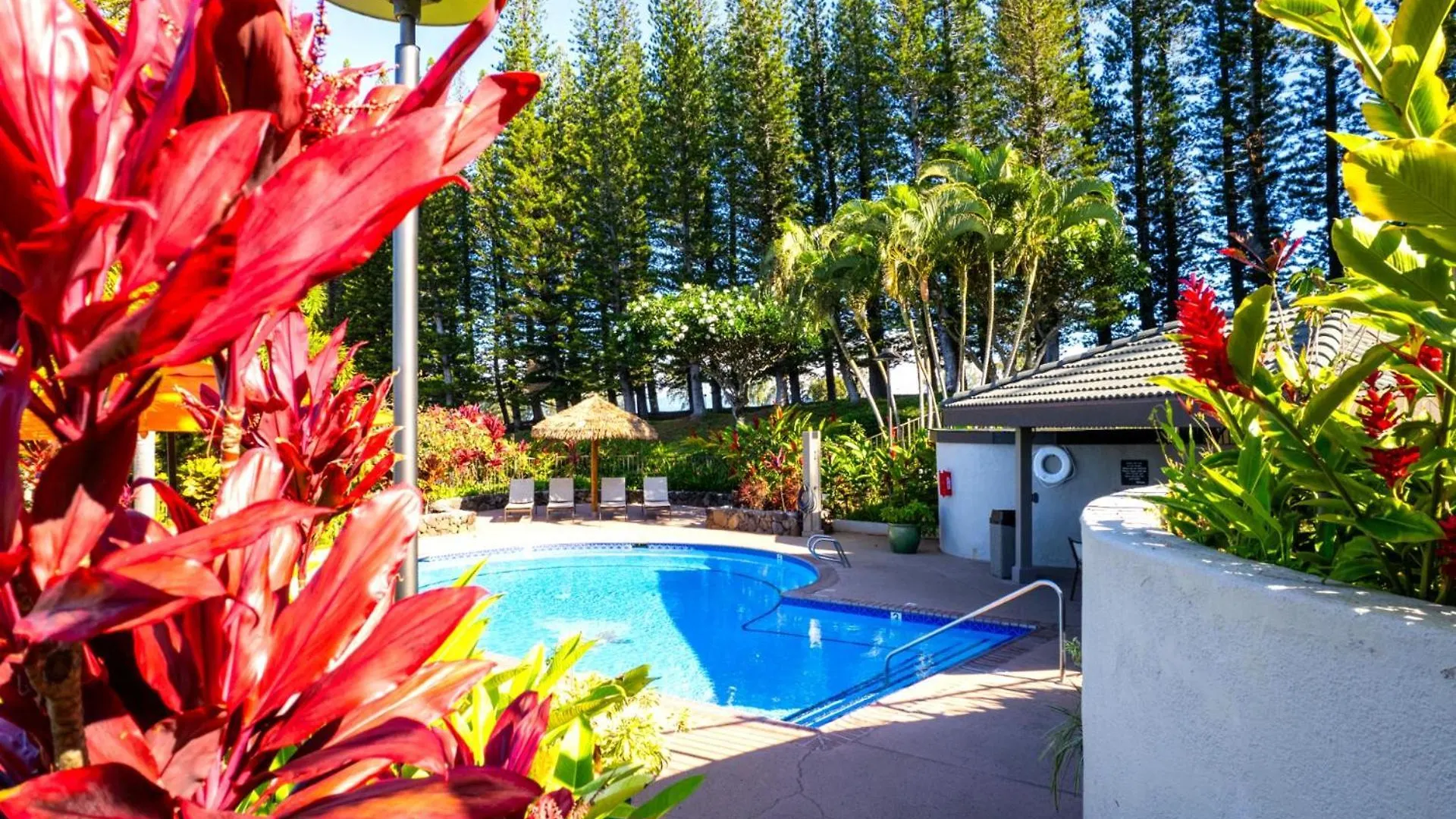 Apartment Kapalua Golf Villa: Ocean View Retreat with Complimentary Car Kahana United States